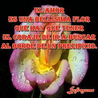 /album/fotogaleria/el-mor7-jpg/